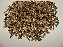 продажа семян расторопши петропавловск-камчатский